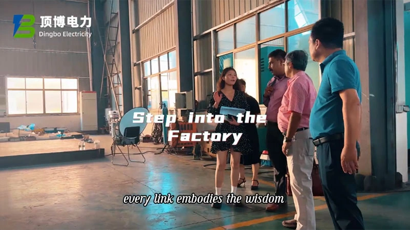 عملاء هنود يزورون مقر شركتنا Dingbo والمصنع