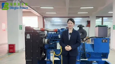 كيف إضافة الوقود، الزيت والمبرد إلى مولد الديزل